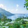 Can You Vape in Dominica? Guide for vapers - Mister Vape