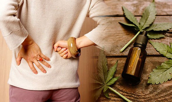 Can CBD Make Fibromyalgia Worse? An In-Depth Analysis