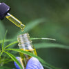 Can You Overdose on CBD Oil? A Comprehensive Guide - Mister Vape