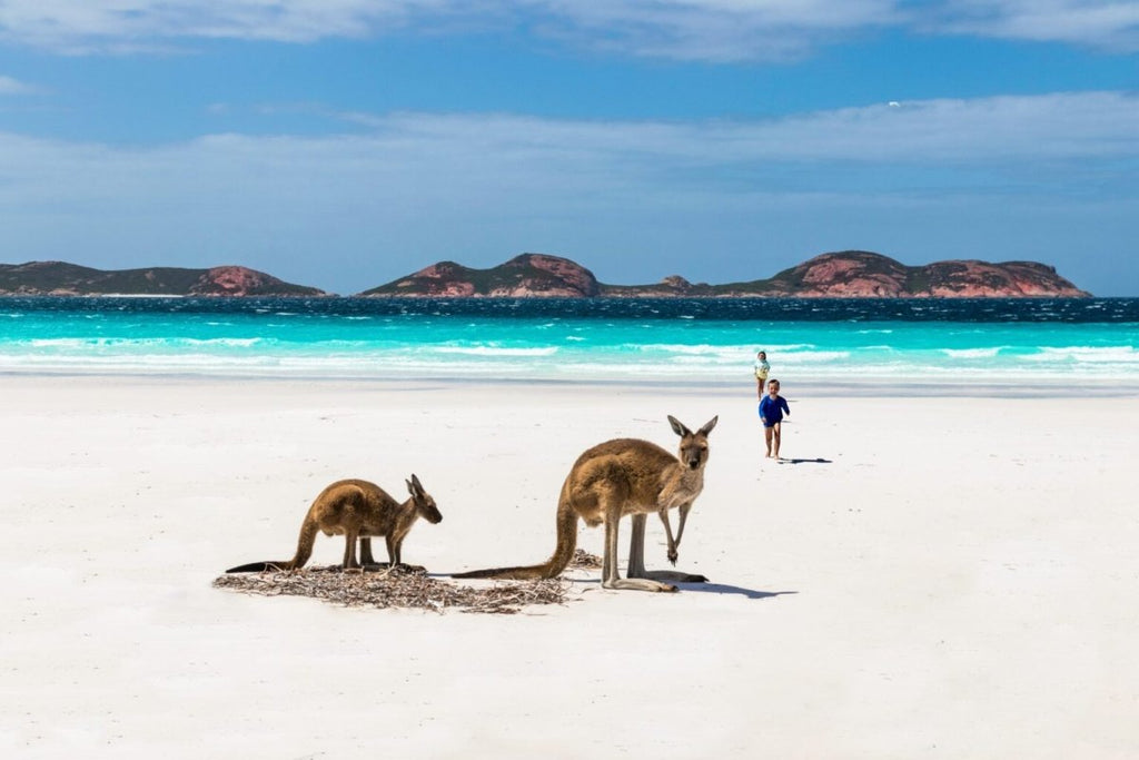 Can You Vape in Australia?