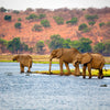 Can You Vape in Botswana? The current landscape - Mister Vape