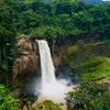 Can You Vape in Cameroon? Tips for Vapers - Mister Vape