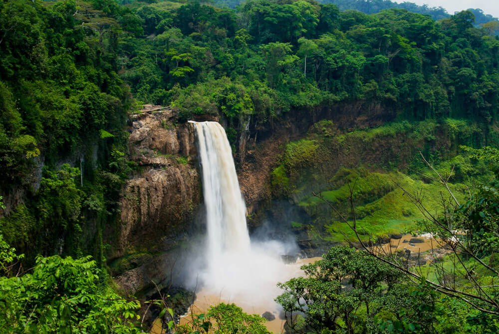 Can You Vape in Cameroon? Tips for Vapers