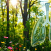 Discover the Life-Changing Benefits of Quitting Vaping - Mister Vape