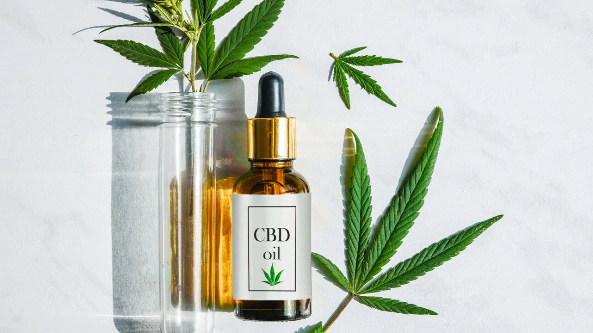 Does CBD Oil Go Bad? A Guide to CBD Oil Shelf Life and Storage