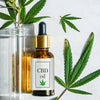 Does CBD Oil Go Bad? A Guide to CBD Oil Shelf Life and Storage - Mister Vape