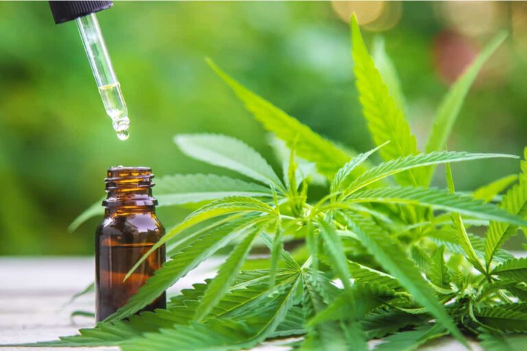 Navigating the Islamic Dietary Guidelines: Is CBD Oil Halal?